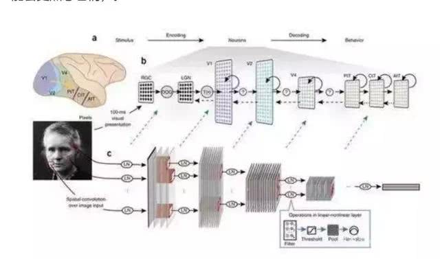 sin：用图像控制猴子大脑，哈佛大学是如何用算法“造梦”的？-区块链315