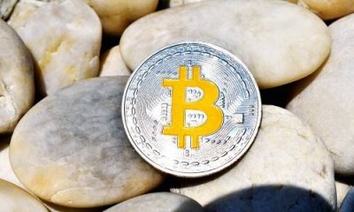 ADA 暴涨背后竟为雪莱计划资金盘推动？小心最后血本无归！
