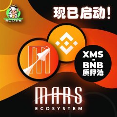 NewB.Farm收益农场 双币池XMS-BNB